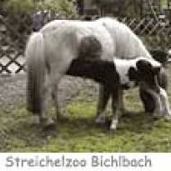 Steichelzoo Bichlbach