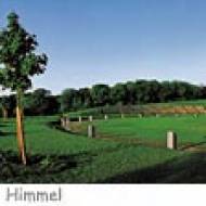 Baumkreis am Himmel