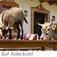 Gut Aiderbichl ü Gut Aiderbichl