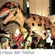 Haus der Natur Haus der Natur Allosaurus
