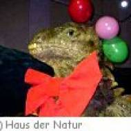 Haus der Natur Kindergeburtstag
