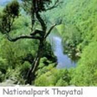 Nationalpark Thayatal ü Nationalpark Thayatal