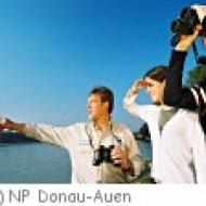 Geführte Wanderungen im Nationalpark Donau-Auen ü Geführte Wanderungen im Nationalpark Donau-Auen