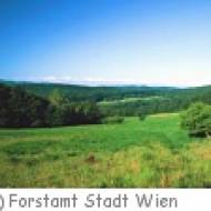 Lainzer Tiergarten Wiese ü Lainzer Tiergarten Wiese