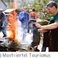 Kulturpark Eisenstraße Niederösterreich ü Kulturpark Eisenstraße Niederösterreich