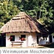 Weinmuseum Moschendorf ü Weinmuseum Moschendorf