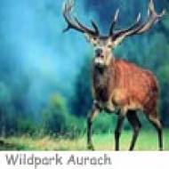Wildpark Aurach ü Wildpark Aurach