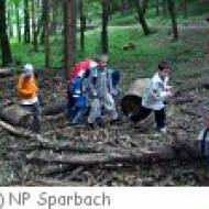 Kindergeburtstag im Naturpark Sparbach ü Kindergeburtstag im Naturpark Sparbach