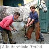 Schaumuseum Alte Schmiede ü Schaumuseum Alte Schmiede