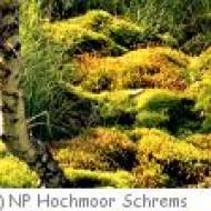 Naturpark Hochmoor Schrems ü Naturpark Hochmoor Schrems