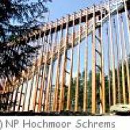 Himmelsleiter im Naturpark Hochmoor Schrems