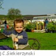 Arche Noah Schaugarten Schiltern ü Arche Noah Schaugarten Schiltern