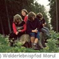Walderlebnispfad Marul m Walderlebnispfad Marul