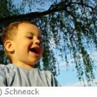 Waldlehrpfad Gsohl m Waldlehrpfad Gsohl