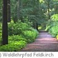 Waldlehrpfad Feldkirch m Waldlehrpfad Feldkirch