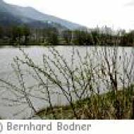 Naturschaupfad Tassenbach m Naturschaupfad Tassenbach
