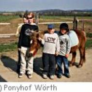 Ponyverleih am Pferde- und Ponyhof Wörth ü Ponyverleih am Pferde- und Ponyhof Wörth