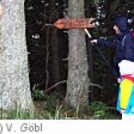 Hirschenkogel Gipfel Rundwanderweg