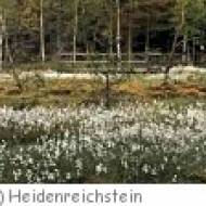 Naturpark Heidenreichsteiner Moor