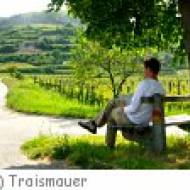Traismauer Weinberge Wanderer