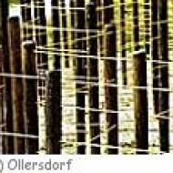 Ollersdorf Kraftweg Labyrinth ü Ollersdorf Kraftweg Labyrinth