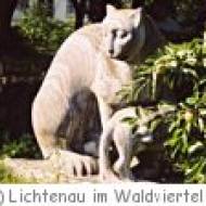 Lichtenau Künstlergarten Wietzen