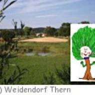 Weidendorf Thern