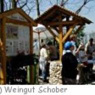 Wetzdorfer Weinwanderweg