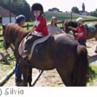 Ponywanderung in Leithen Ponywanderung