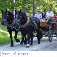 Tannheim Pferdekutschen Fam. Kleiner