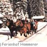 Pferdekutschen- und Pferdeschlitten-Fahrten in Hirschegg Pferdekutschen- und Pferdeschlitten-Fahrten in Hirschegg