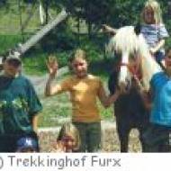 Kindergeburtstag am Trekkinghof Furx Trekkinghof Furx