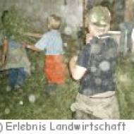 Schule am Bauernhof, Erlebnis Landwirtschaft Innsbruck Schule am Bauernhof, Erlebnis Landwirtschaft Innsbruck