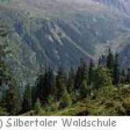 Schule: Schutzschild Bergwald, Silbertaler Waldschule Silbertaler Waldschule