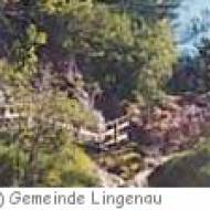 Quelltuff Naturlehrpfad in Lingenau Quelltuff Naturlehrpfad in Lingenau