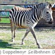 Doppelmayr Zoo Wolfurt Doppelmayr Zoo Wolfurt