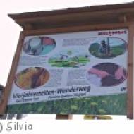 Vier-Jahreszeiten-Wanderweg in Kitzbühel Vier-Jahreszeiten-Wanderweg in Kitzbühel