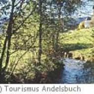 Wanderung zu den Brühlbach-Wasserfällen in Andelsbuch Wanderung zu den Brühlbach-Wasserfällen in Andelsbuch