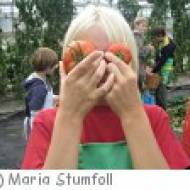 Gemüsezwerge-Kindergeburtstag in Bruckneudorf Gemüsezwerge-Kindergeburtstag in Bruckneudorf