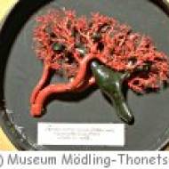 Museum Mödling - Thonetschlössl Museum Mödling - Thonetschlössl