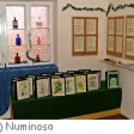 Numinosa - Museum über heimische Pflanzen in Karlstift Numinosa - Museum über heimische Pflanzen in Karlstift