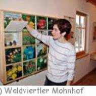 Mohnmuseum im Waldviertler Mohnhof in Ottenschlag Mohnmuseum im Waldviertler Mohnhof in Ottenschlag