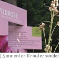 Sonnentor Kräuter-Sinnes-Erlebnis in Sprögnitz bei Zwettl