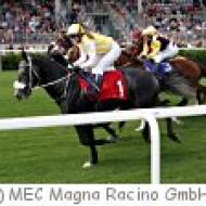 Magna Racino in Ebreichsdorf