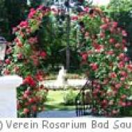 Rosarium Bad Sauerbrunn Rosarium Bad Sauerbrunn