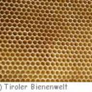 Tiroler Bienenwelt in Söll