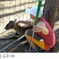Minigolf und Tiere auf der Grill-Ranch in Deutsch-Wagram