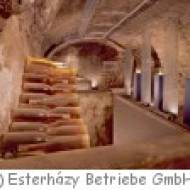 Weinmuseum Burgenland in Eisenstadt