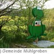 Der Lebensweg in Mühlgraben im Naturpark Raab