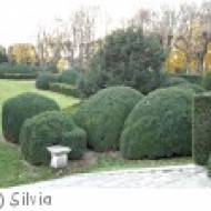 Der Schlossgarten von Schloss Halbturn Der Schlossgarten von Schloss Halbturn
